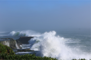 SantaCruz_Hegermiller_2016